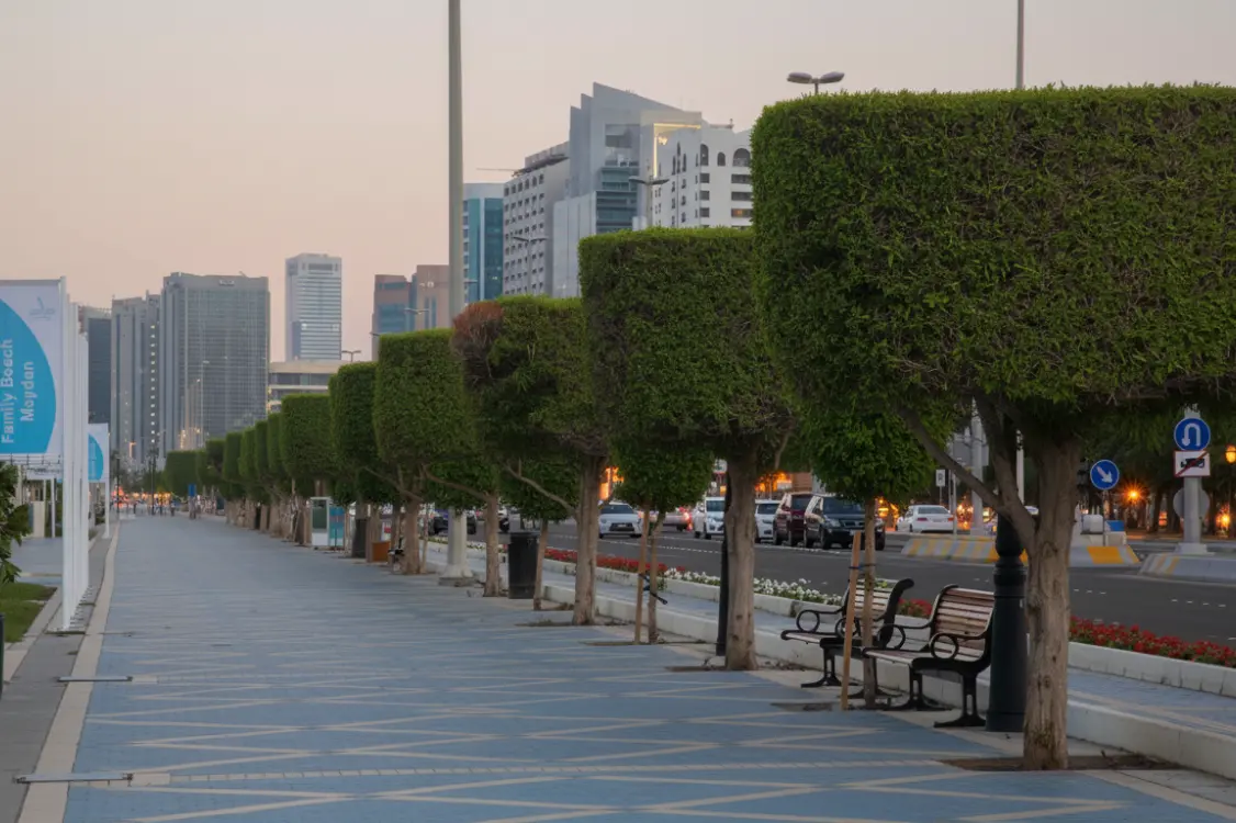 Al Danah
