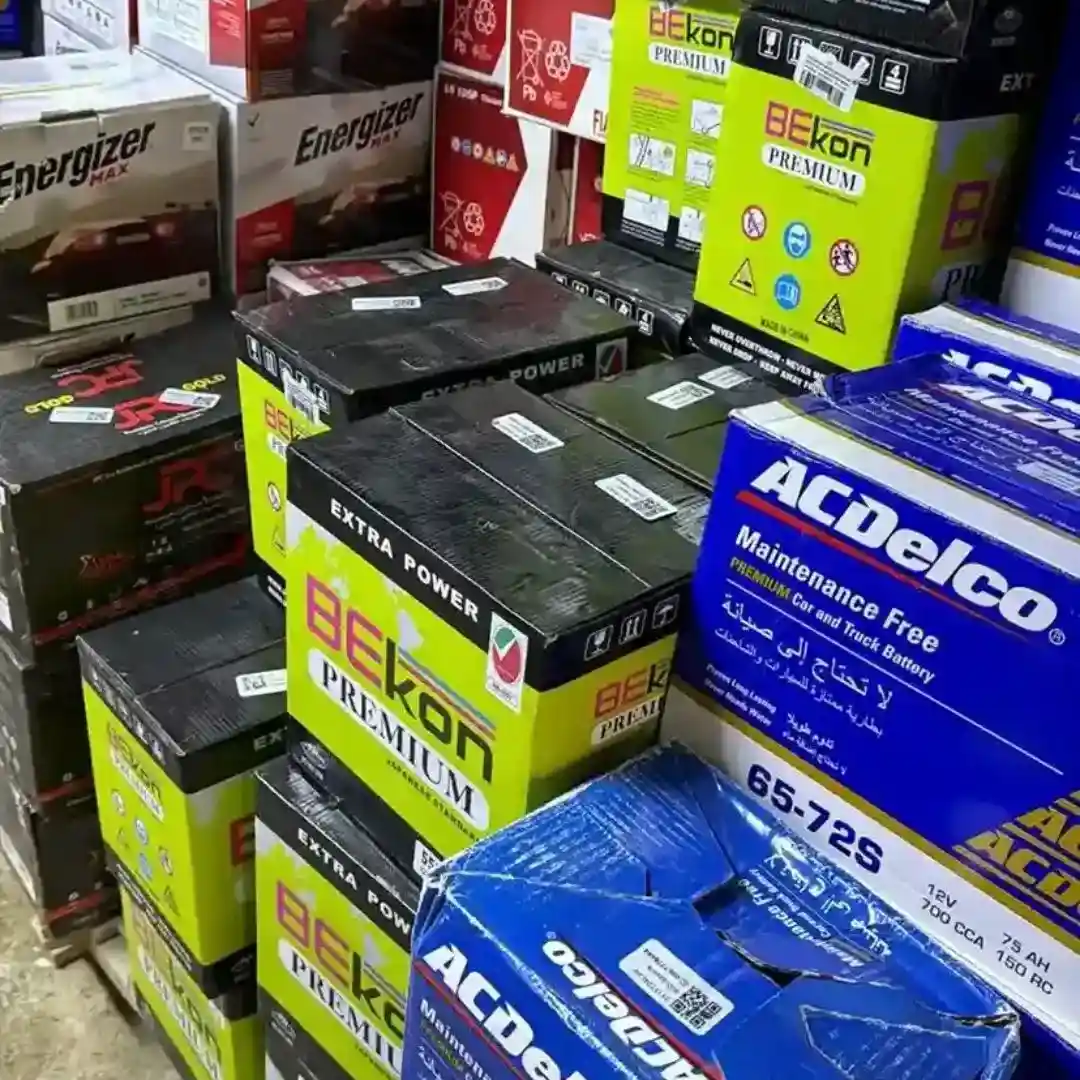 Picking the Right Dagenite Battery Type