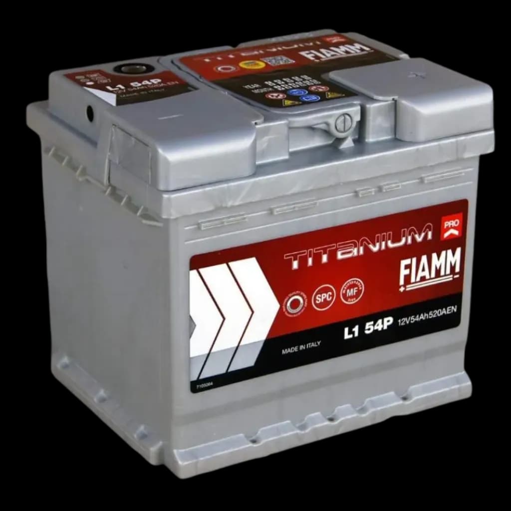 Fiamm Battery