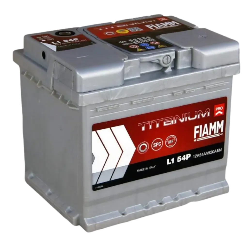 Fiamm Battery